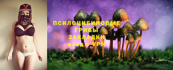 шишки Алзамай