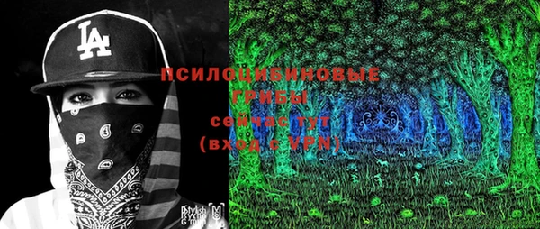 шишки Алзамай