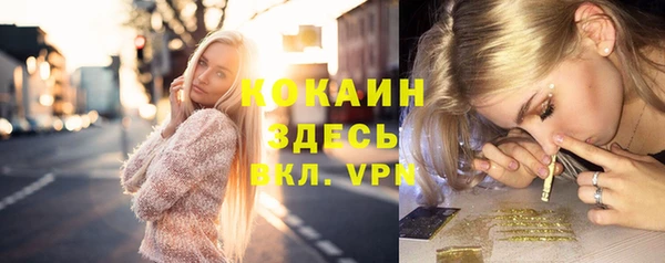 мяу мяу мука Алексин